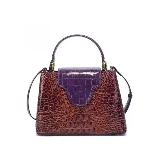 Amber Brown Handbag